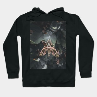 Oleander Hawk moth Hoodie